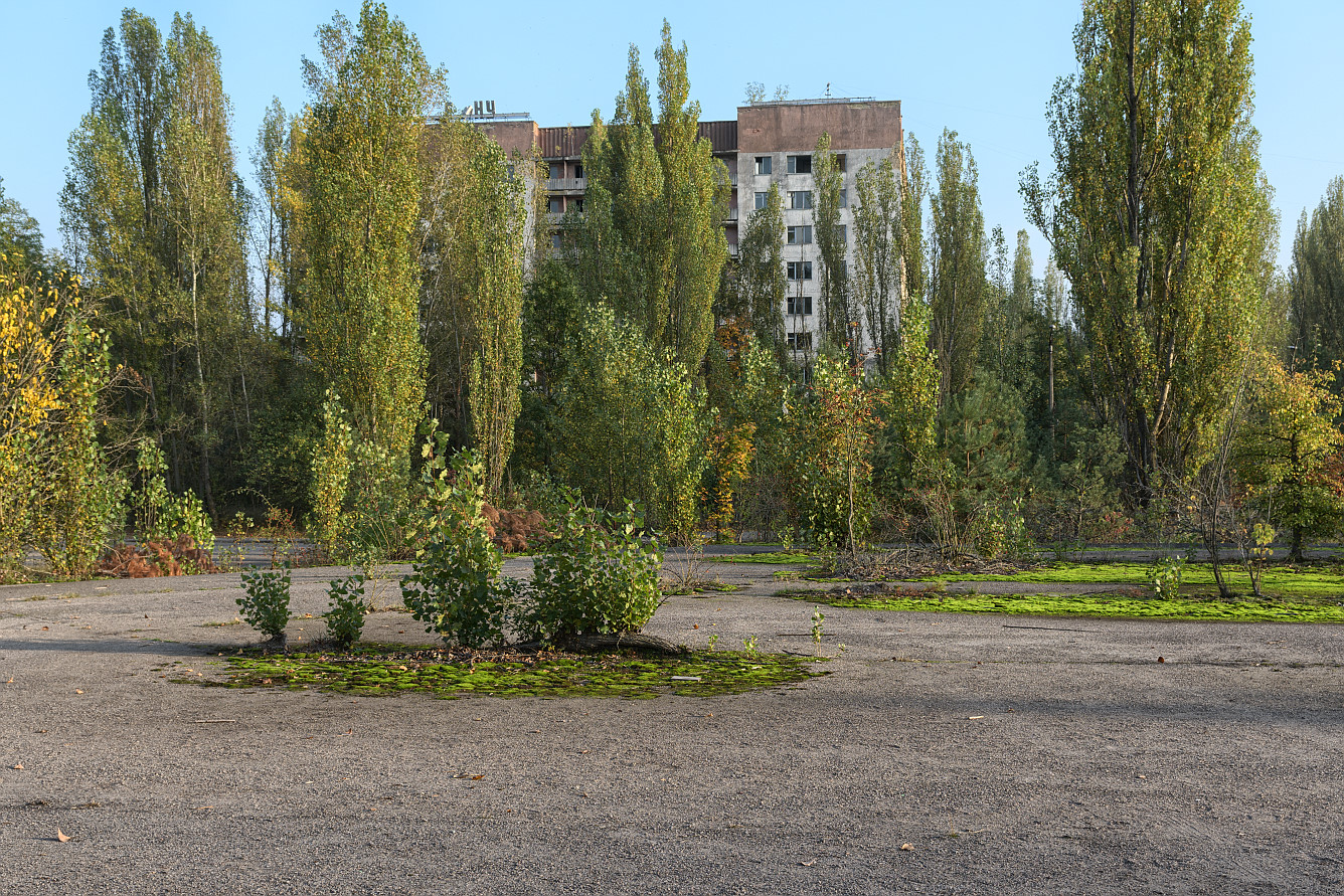 /media3/files/chernobyl/hotel_polissya/photo/20.jpg